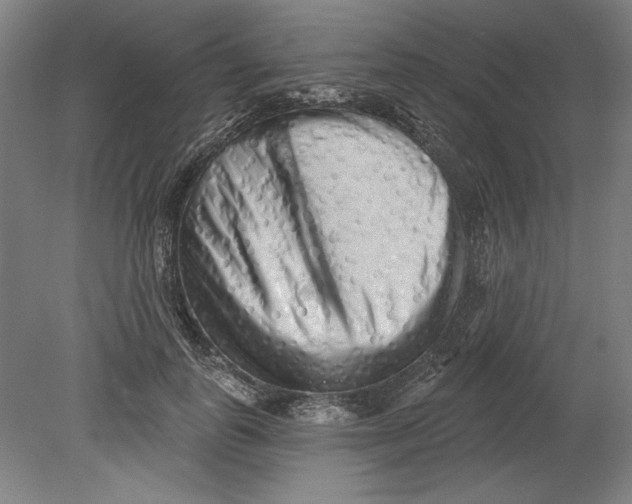 X0000080740747200701051144