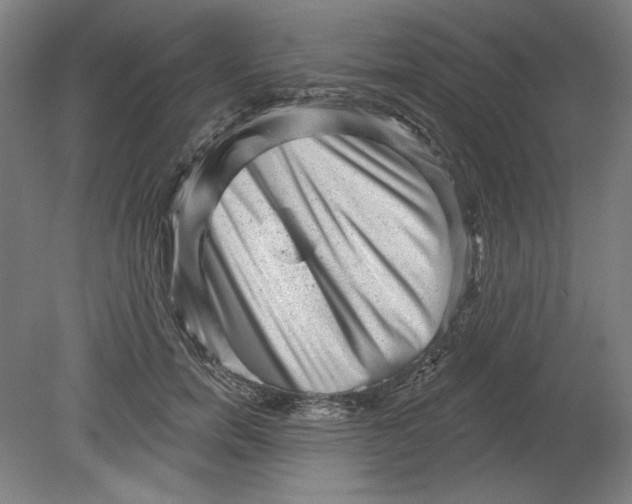 X0000080740750200701051144