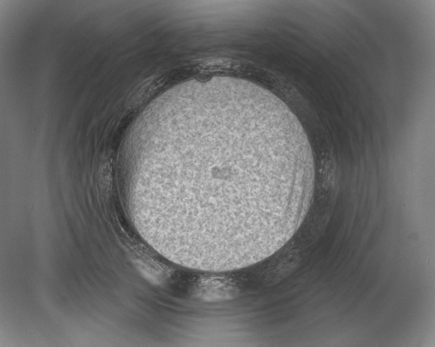 X0000080740753200701051144