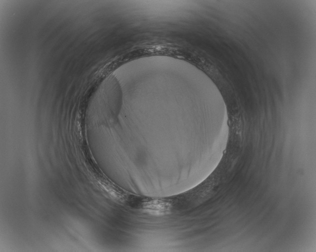 X0000080740754200701051144