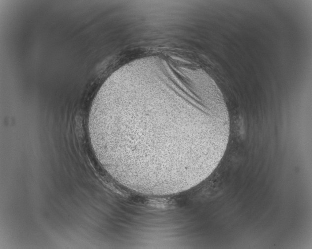 X0000080740757200701051144