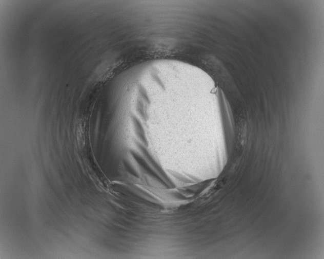 X0000080740759200701051144