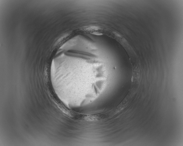 X0000080740762200701051144