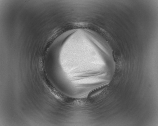 X0000080740764200701051144