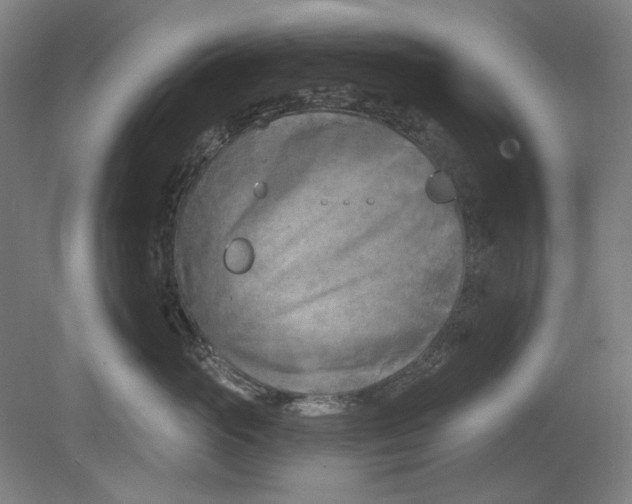 X0000080740765200701051144