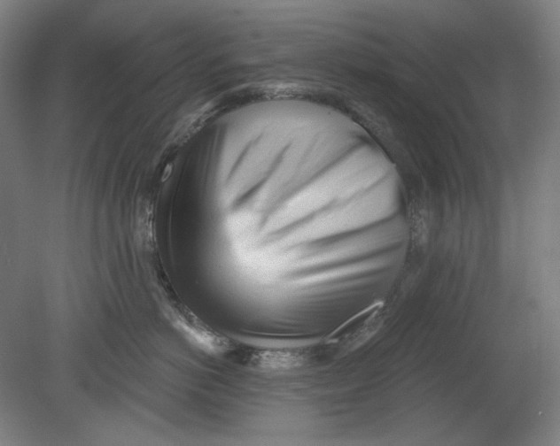 X0000080740766200701051144