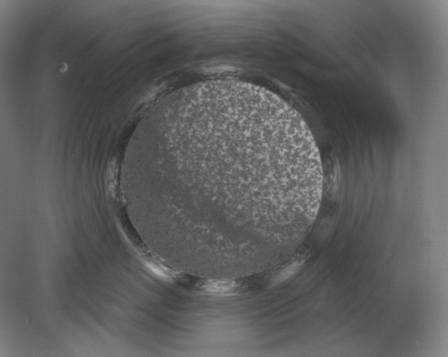 X0000080740767200701051144