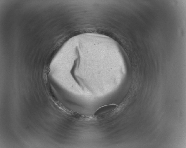 X0000080740768200701051144