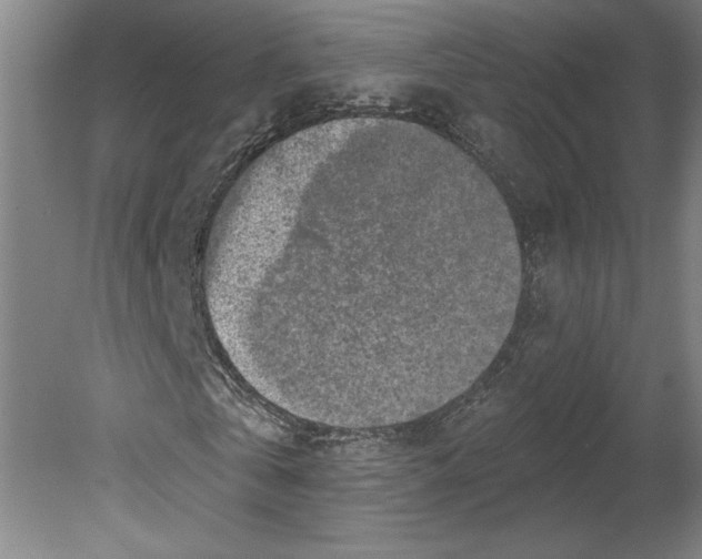 X0000080740769200701051143