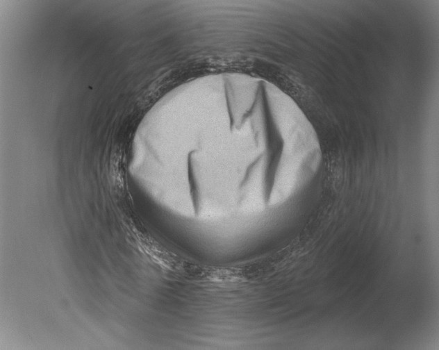 X0000080740770200701051143