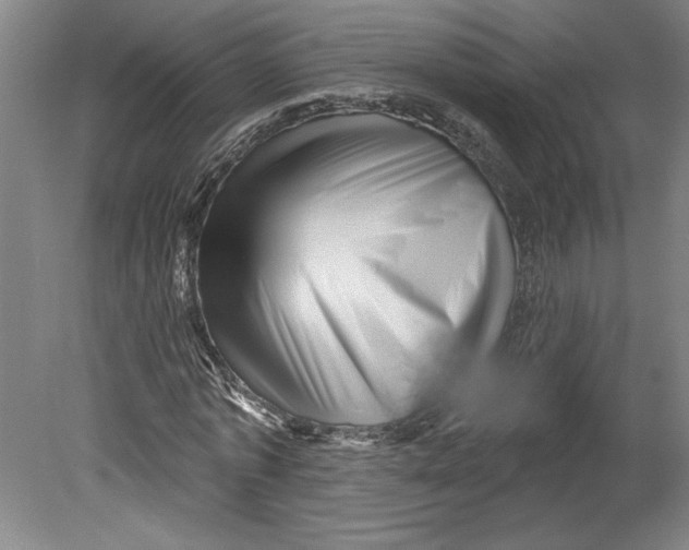 X0000080740773200701051143