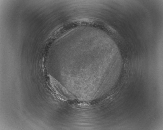 X0000080740774200701051143