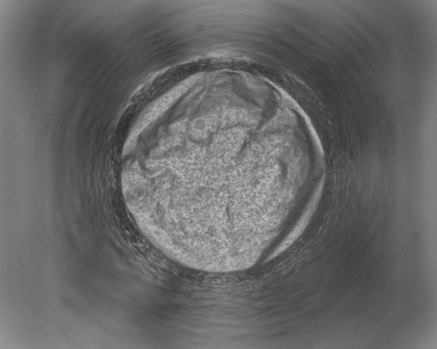 X0000080740776200701051143