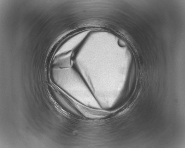 X0000080740779200701051143