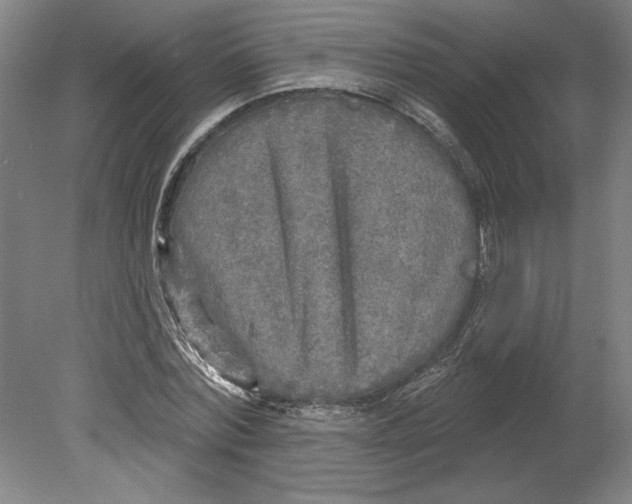 X0000080740780200701051143