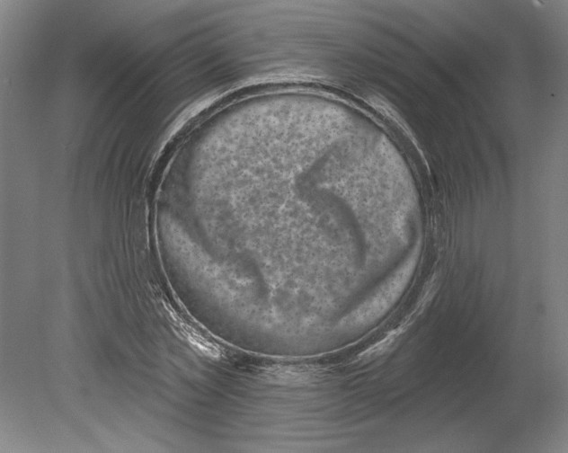 X0000080740781200701051143