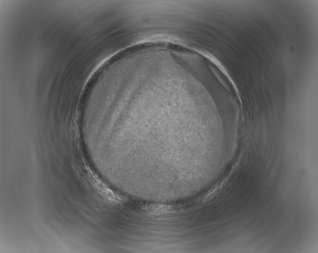 X0000080740783200701051143