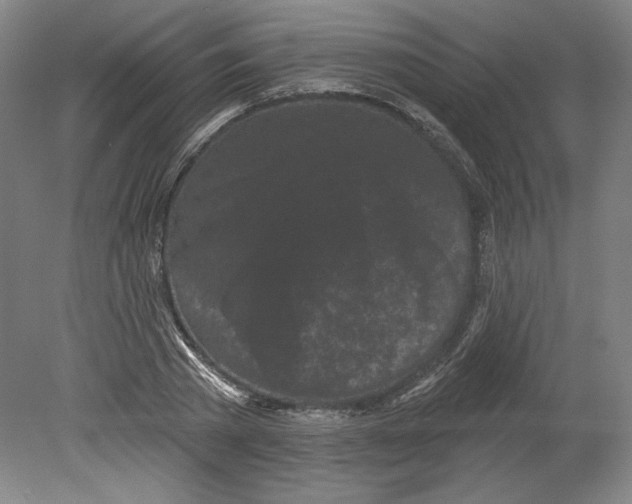 X0000080740785200701051143