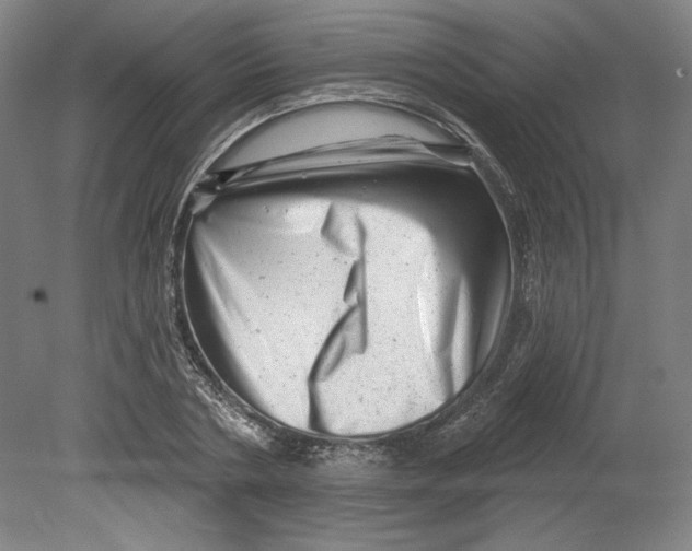 X0000080740786200701051143