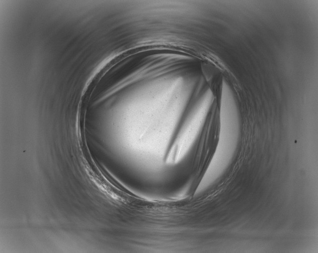 X0000080740788200701051143