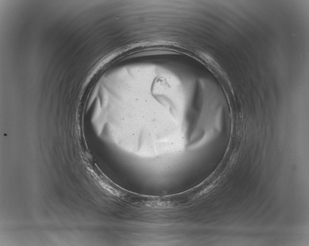 X0000080740789200701051143