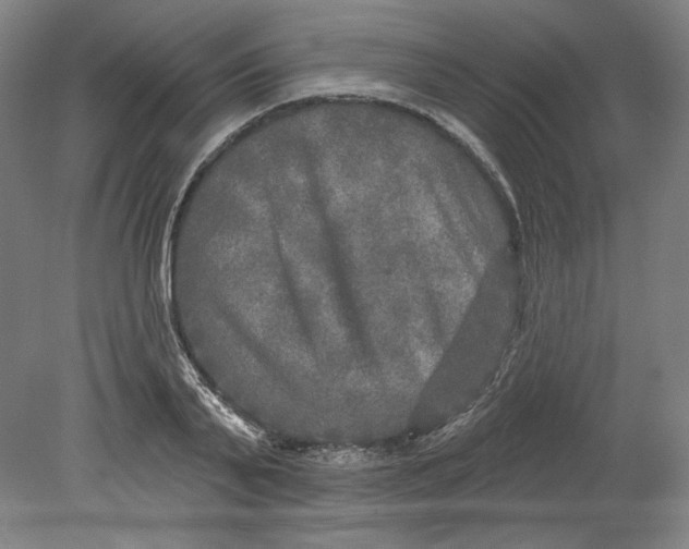 X0000080740791200701051143