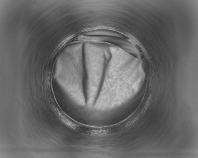 X0000080740793200701051143