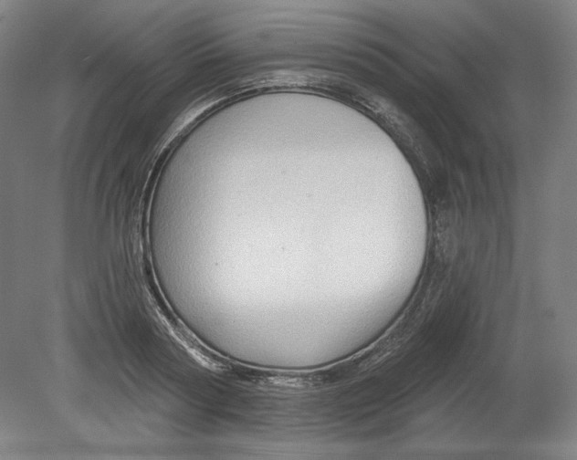 X0000080740794200701051143