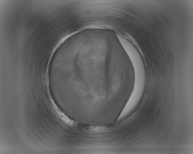 X0000080740795200701051143