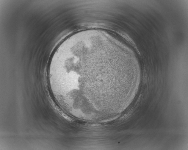 X0000080740798200701051143