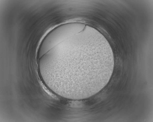 X0000080740800200701051143