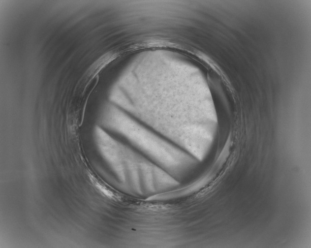 X0000080740801200701051143