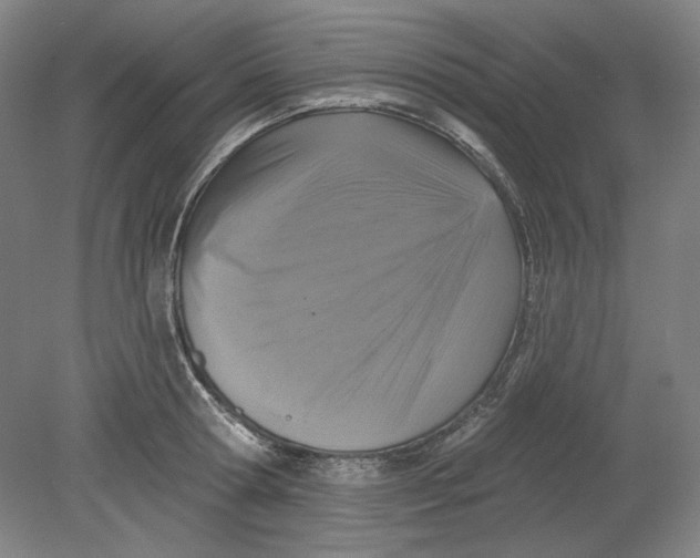 X0000080740802200701051143