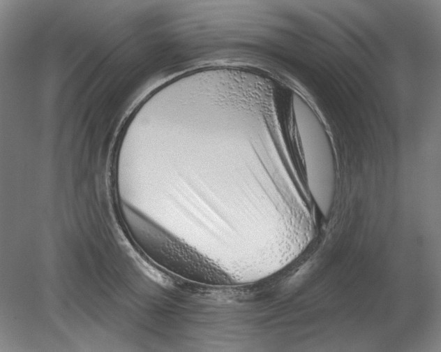 X0000080740803200701051143