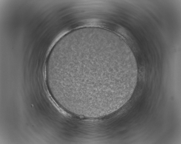 X0000080740804200701051143