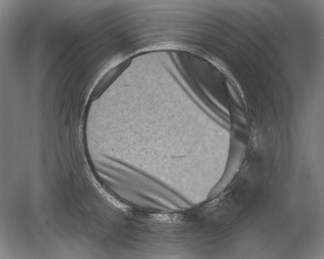 X0000080740805200701051143