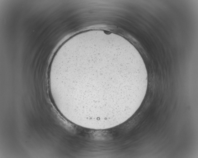 X0000080740808200701051143