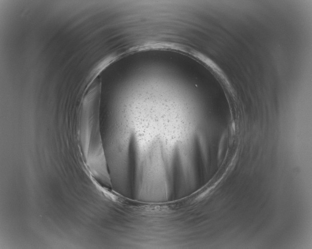 X0000080740809200701051143