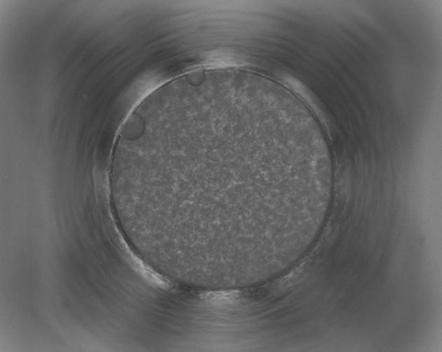 X0000080740810200701051143