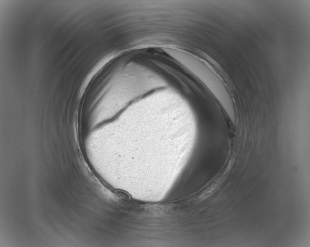 X0000080740812200701051143