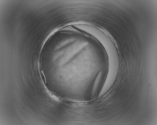 X0000080740813200701051143