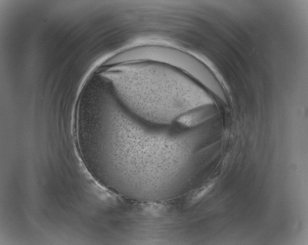 X0000080740815200701051143