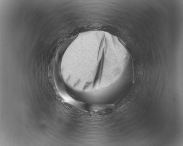 X0000080740818200701051142