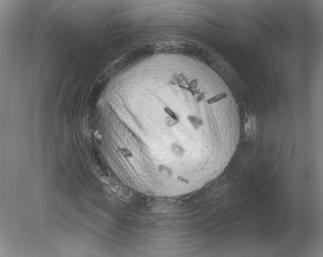 X0000080740819200701051142