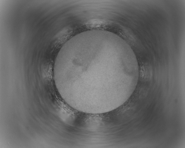 X0000080740820200701051142