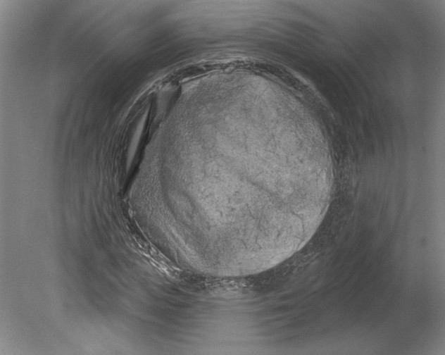 X0000080740823200701051142