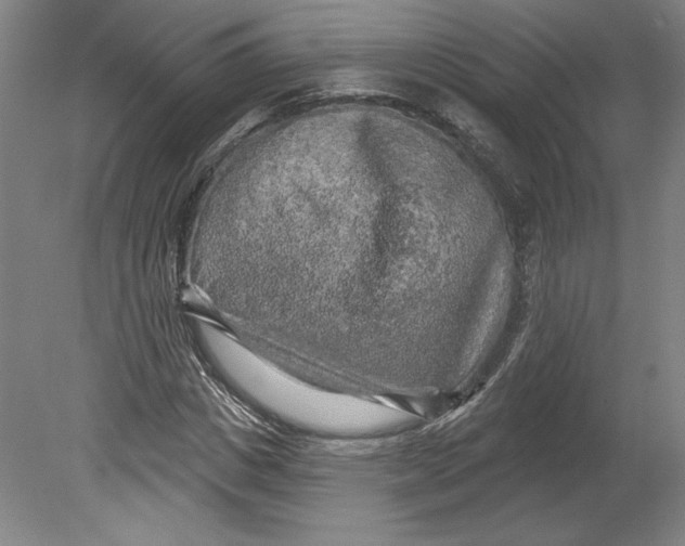 X0000080740825200701051142