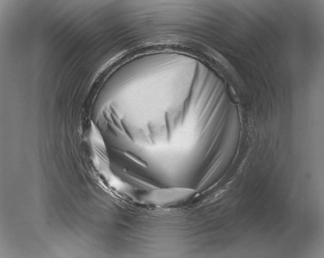 X0000080740826200701051142