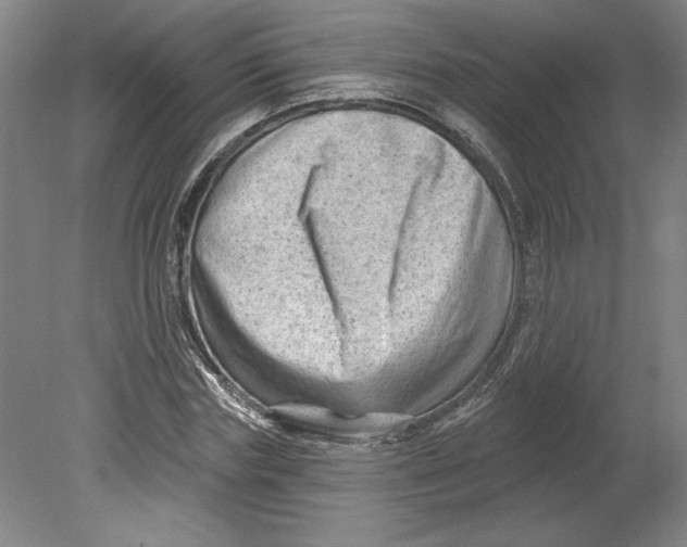 X0000080740827200701051142