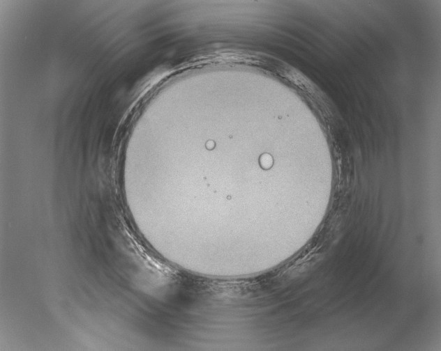 X0000080740828200701051142